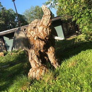 Meet your Posher, Paige